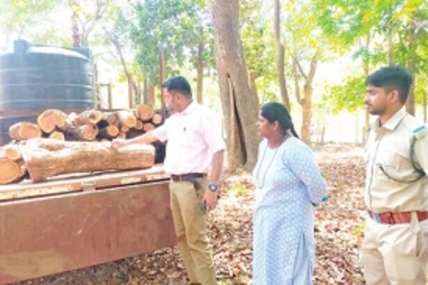 Forest Deparment arrests 11 persons for  smuggling Khair wood worth Rs 1 lakh