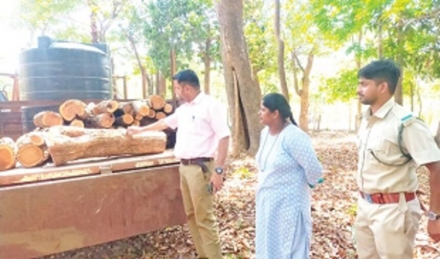 Forest Deparment arrests 11 persons for smuggling Khair wood worth Rs 1 lakh