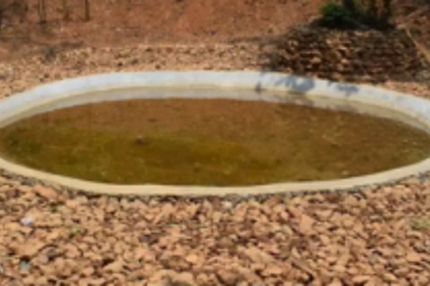 Forest Department creates waterholes in forests  to avert human-animal conflict