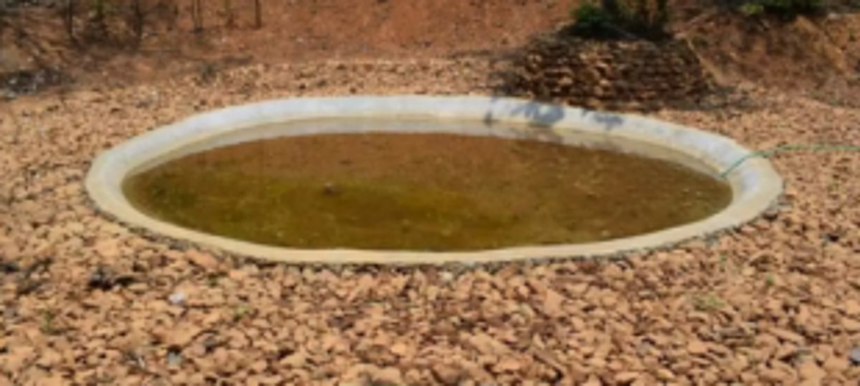 Forest Department creates waterholes in forests  to avert human-animal conflict