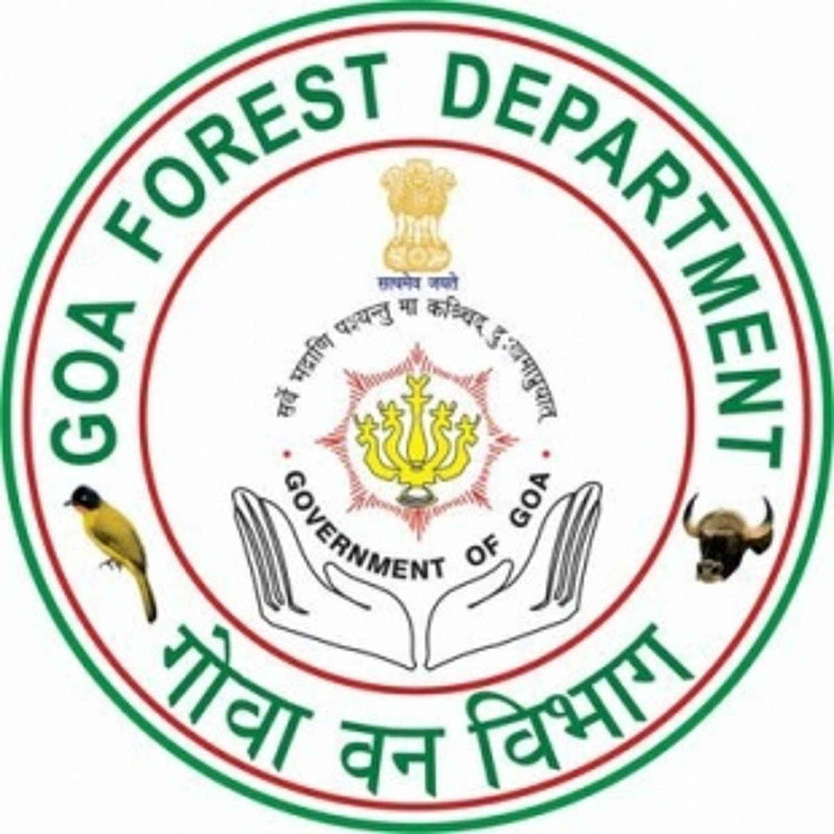 Forest Dept drops plan for  CA in MP for tree loss in Goa