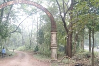 Forest Dept opens Vandola gate for convenience  of Paikul locals