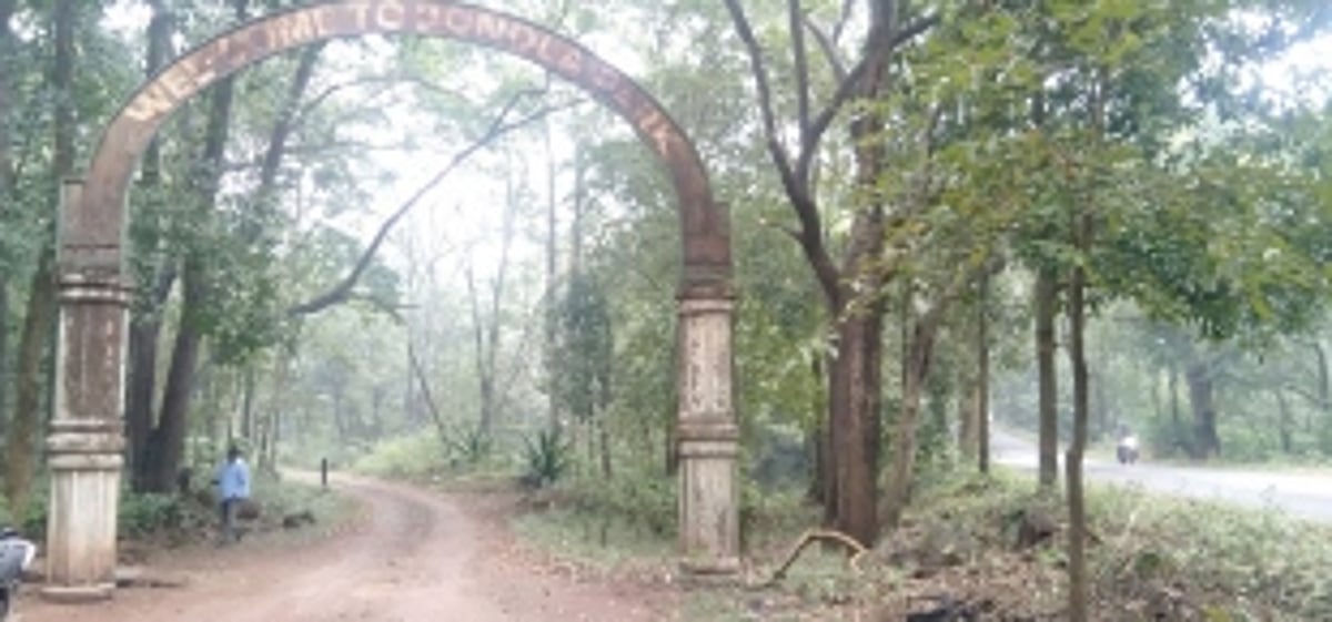 Forest Dept opens Vandola gate for convenience  of Paikul locals