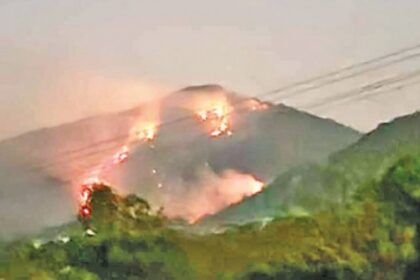Forest Dept probing Mhadei Sanctuary inferno: CM