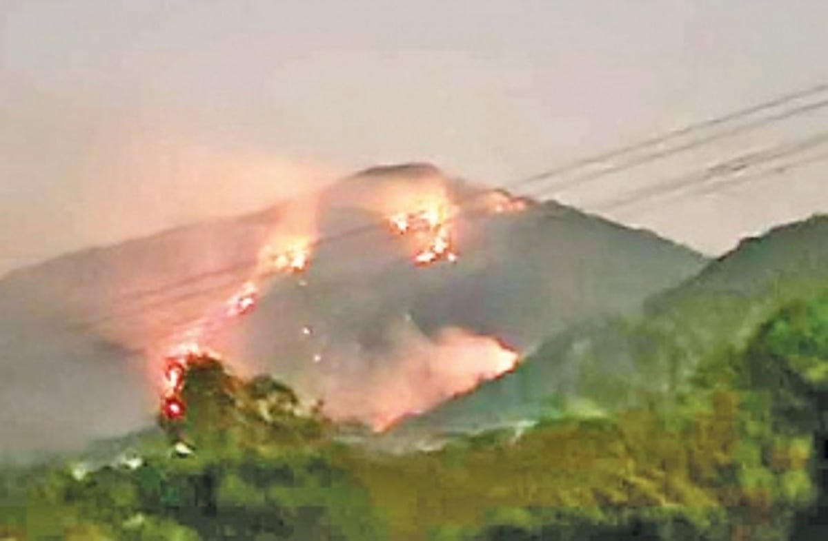 Forest Dept probing Mhadei Sanctuary inferno: CM