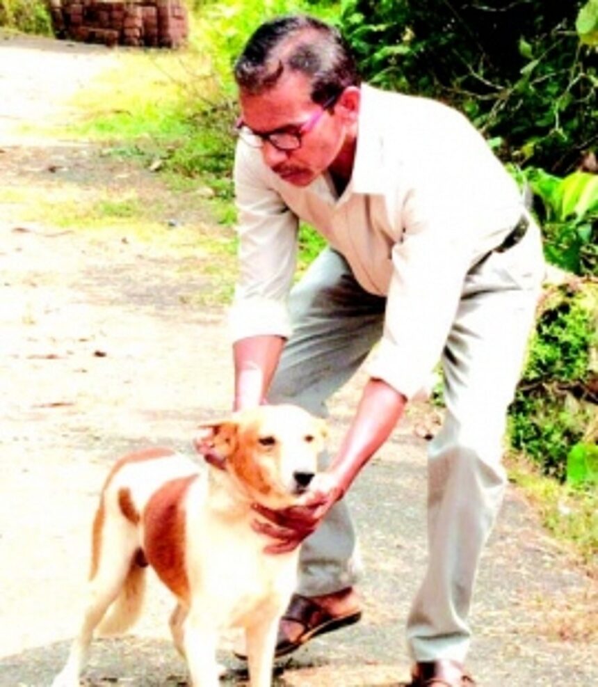Forest Dept set traps to capture elusive black panther at Dharbandora