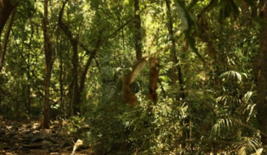 Forest Dept urges Sattari SDM  to settle villagers land rights