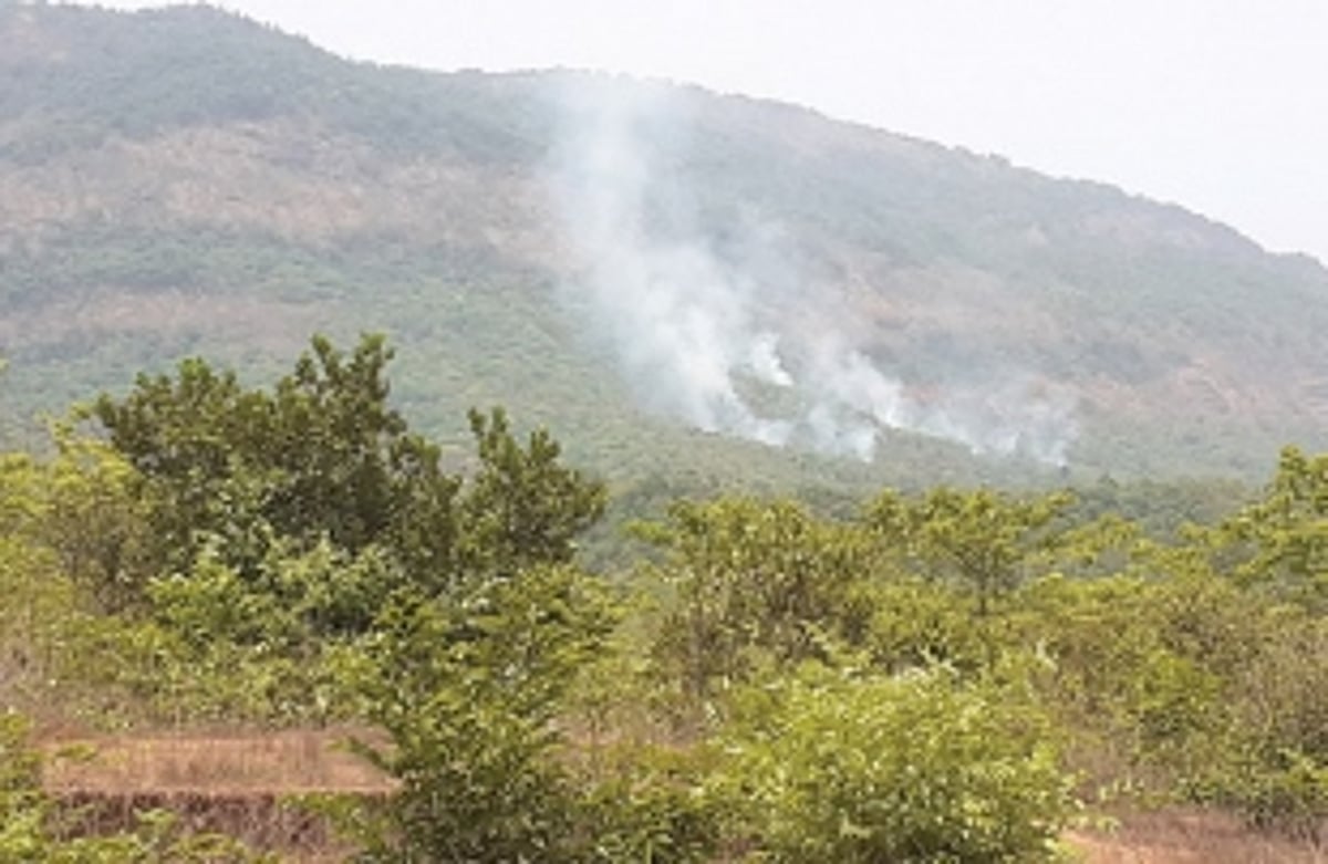 Forest at Morlem set on fire