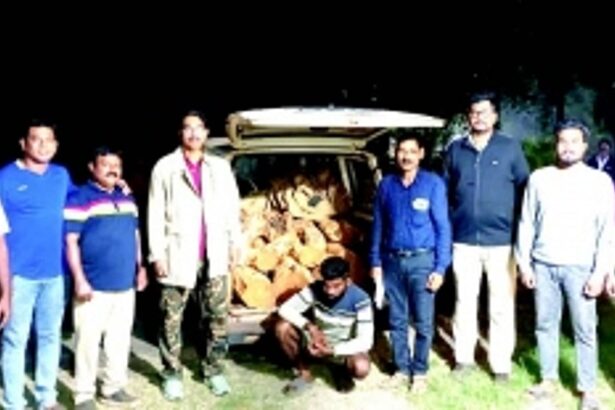 Forest department books 12 for attempting to smuggle catechu wood