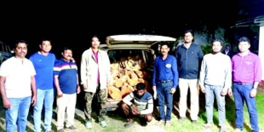 Forest department books 12 for attempting to smuggle catechu wood