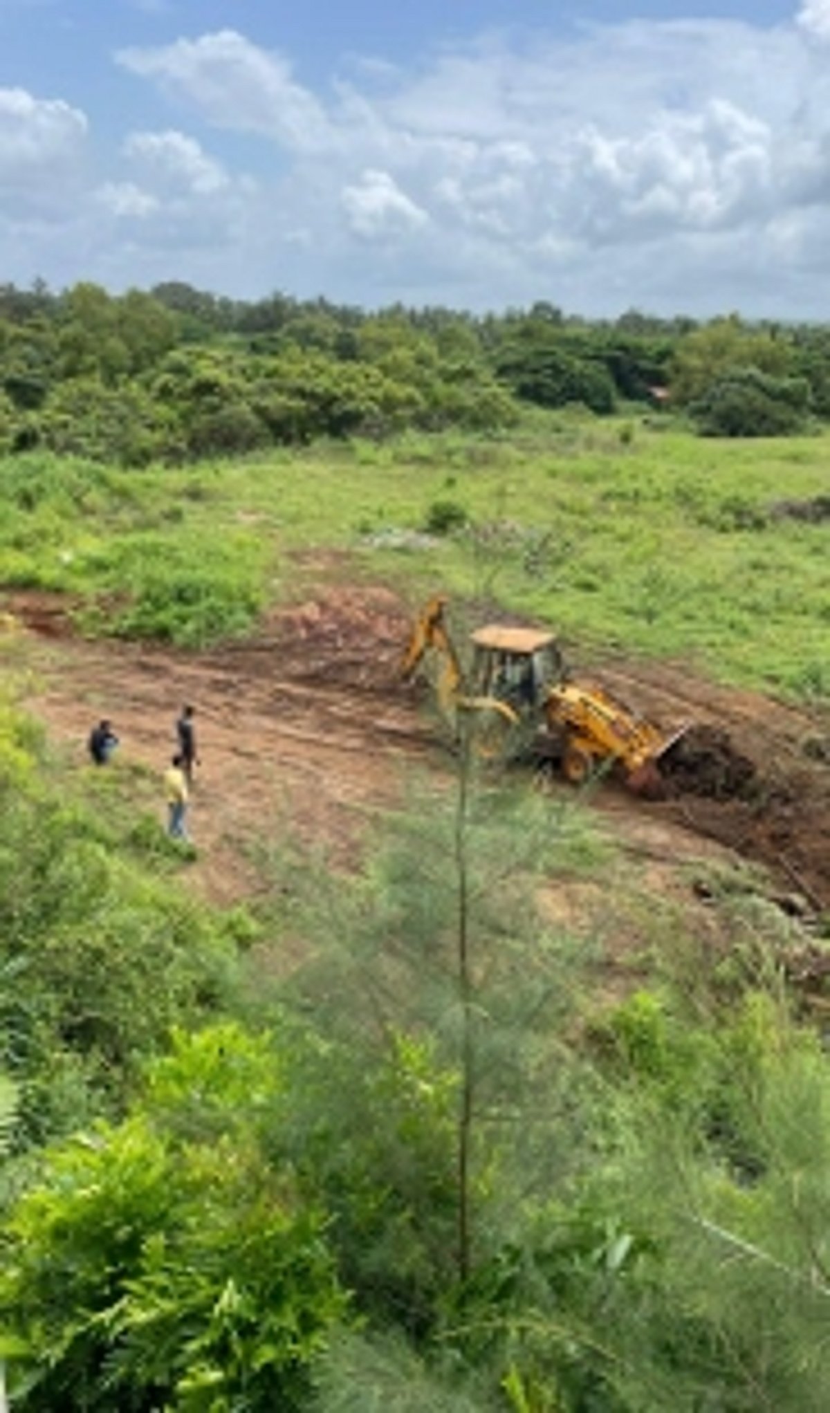 Forest department cracks whip on destruction of sand dunes at Morjim