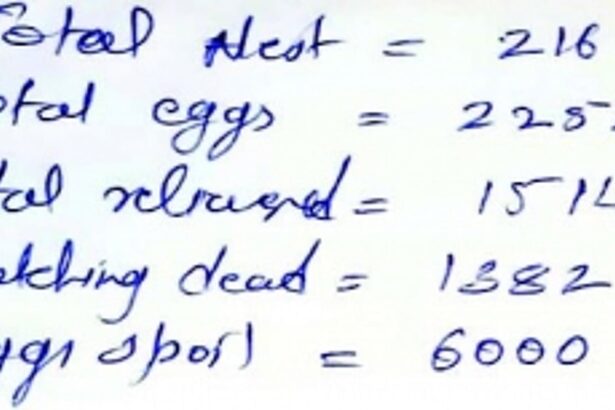 Forest dept officially insists that turtle  eggs were not ‘stolen’ but ‘spoilt’,  with no official evidence