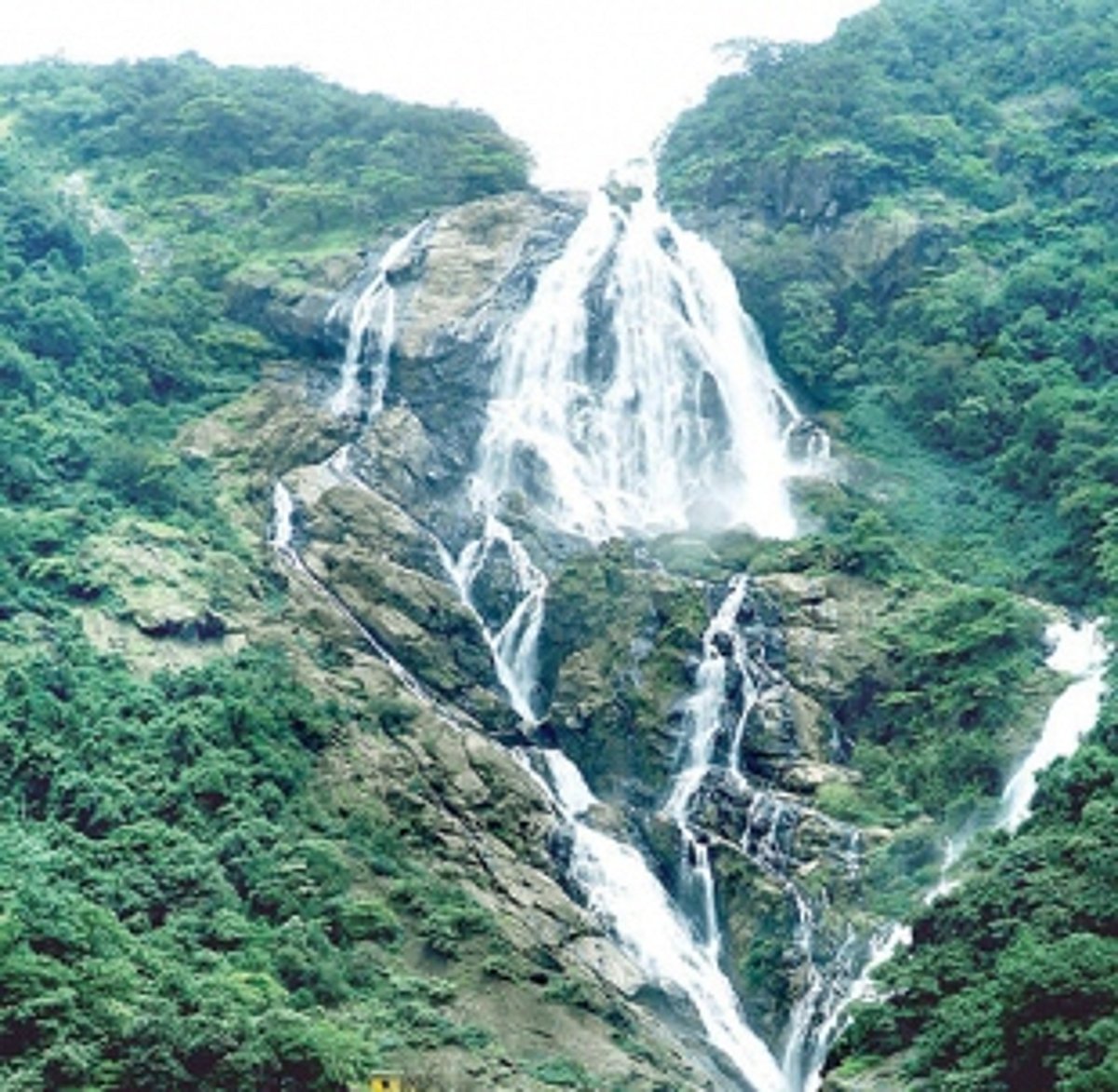 Forest dept’s gate to Dudhsagar waterfalls to be opened today