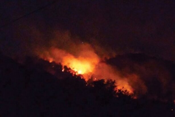 Forest fire nightmare returns to strike Chapoli’s green hills