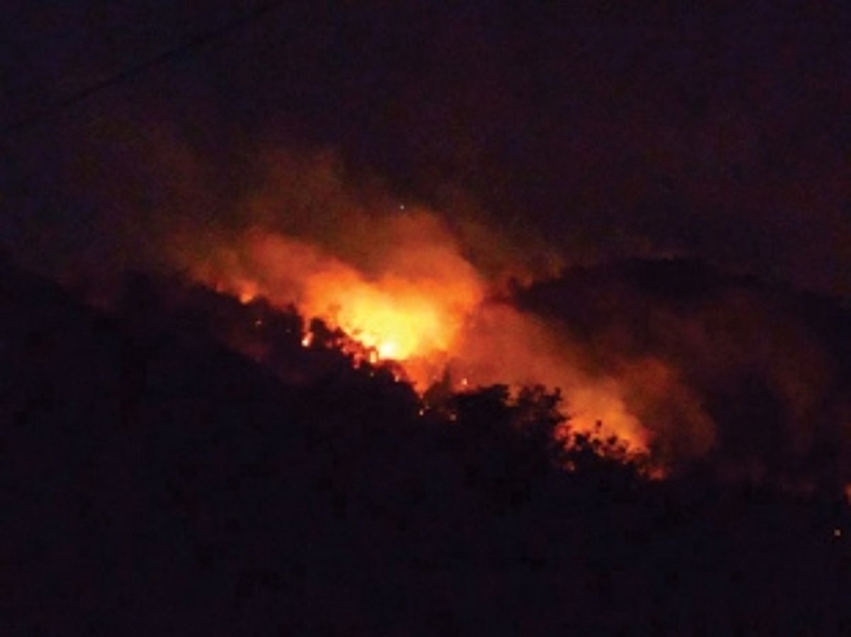 Forest fire nightmare returns to strike Chapoli’s green hills