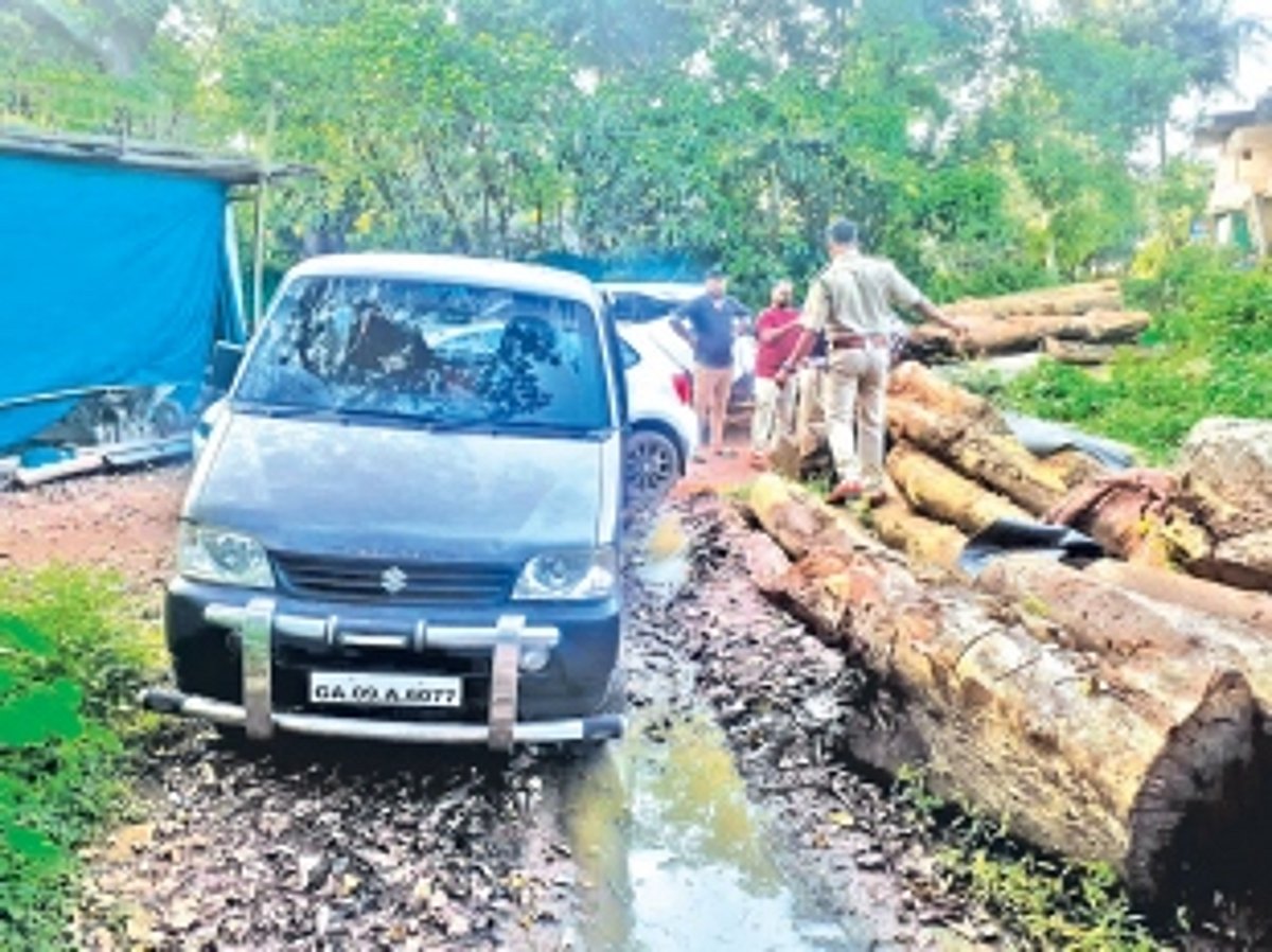 Forest officials seize Rosewood at Assolda, stolen from sawmill
