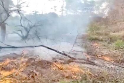 Forest set on fire in Siolim, owner booked for criminal negligence