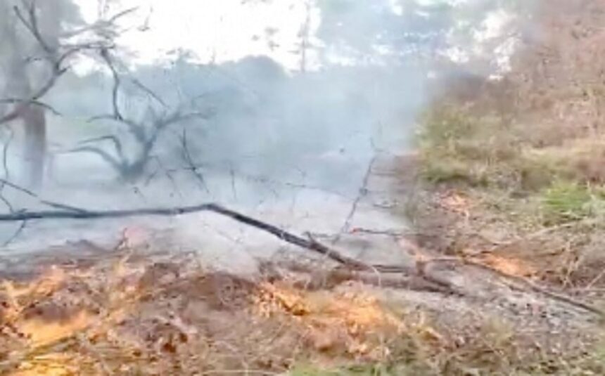 Forest set on fire in Siolim, owner booked for criminal negligence