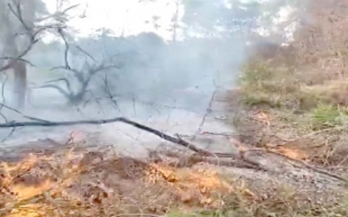 Forest set on fire in Siolim, owner booked for criminal negligence