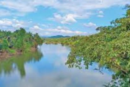 Forests are not thriving: Sachin Tendulkar