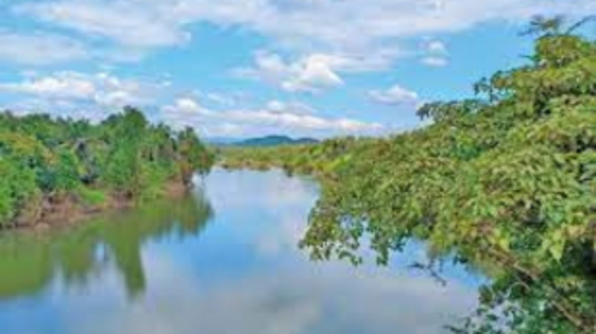 Forests are not thriving: Sachin Tendulkar