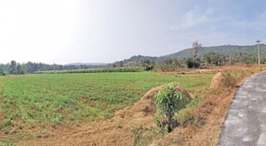 Forgotten woes of flood ravaged Ibrampur