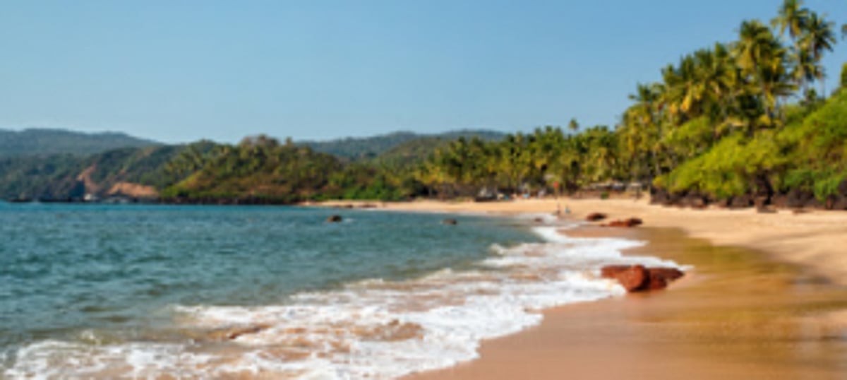 Forum seeks action against ‘illegal’ structures at Candolim