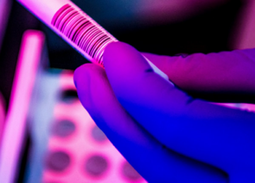 Forum urges govt to increase COVID-19 testing