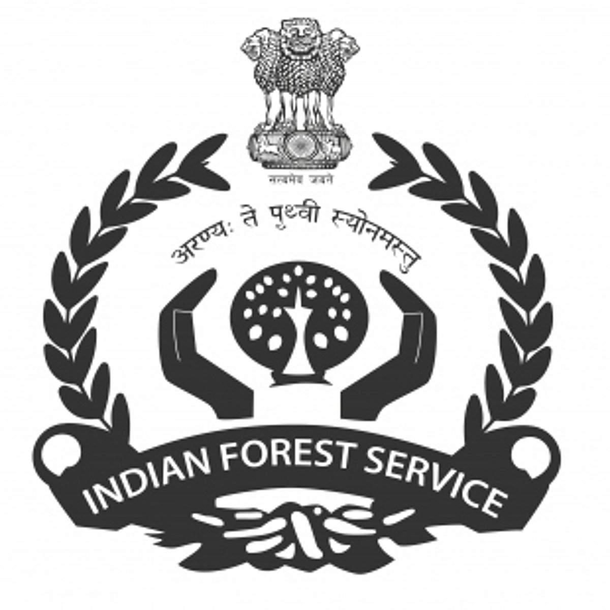 Four State Forest  officers recommended to IFS cadre