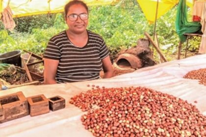Four-generation legacy of gram-roasting: Domingos and Piedade Fernandes happily carry on family occupation