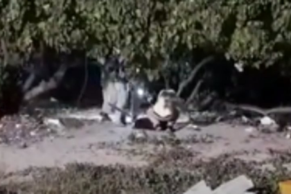 Four held in murder case while fleeing State via train