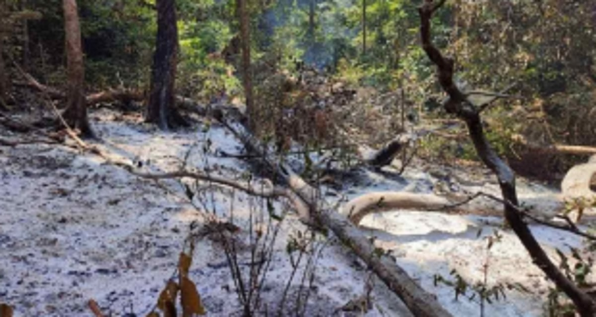 Four hundred cashew trees reduced to ashes in Valpoi fire, farmers in distress