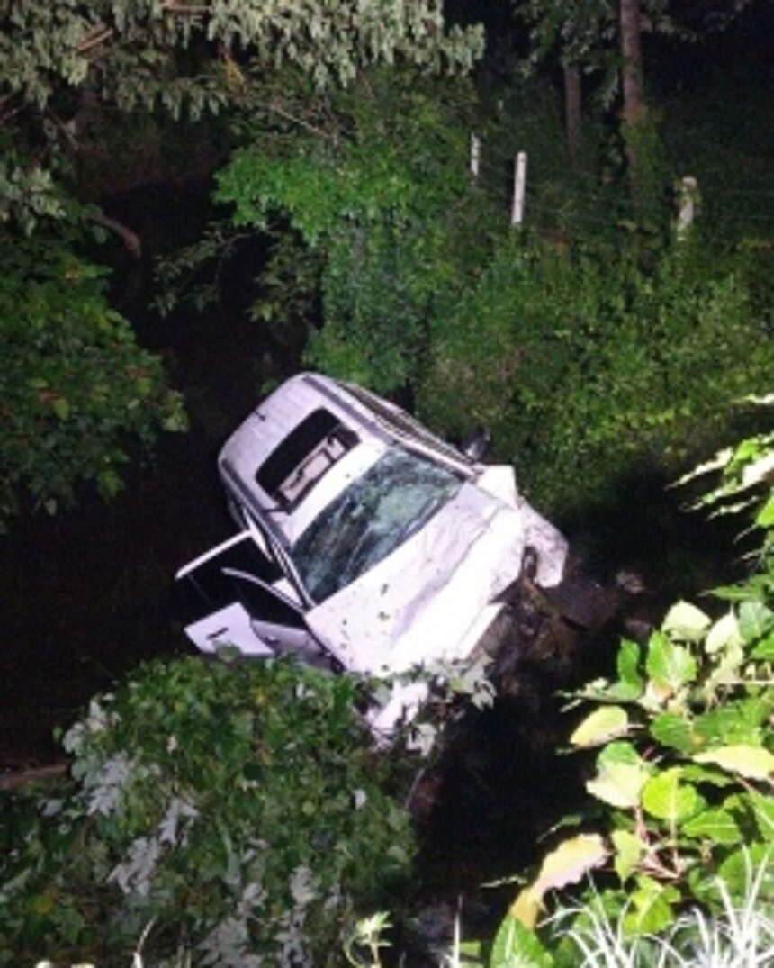 Four persons critical after their vehicle falls into a creek at Cortalim