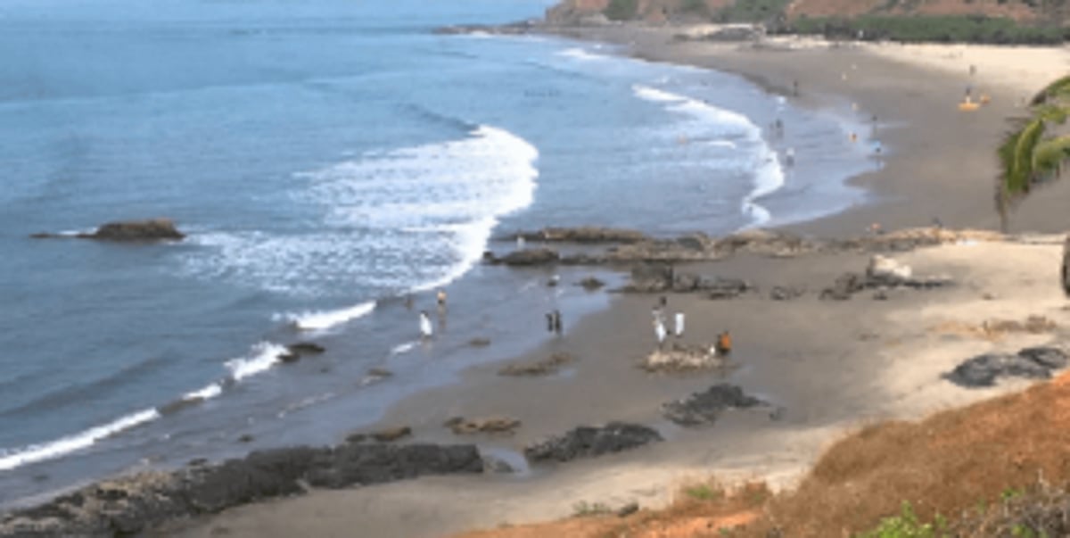 Four tourists rescued