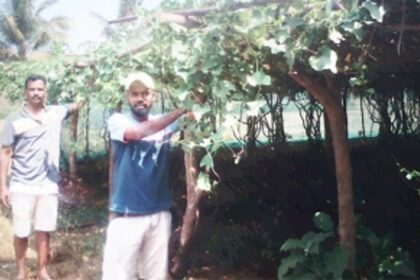 Fragrant blooms & fresh produce: Diversification key to the Satelkars’ success