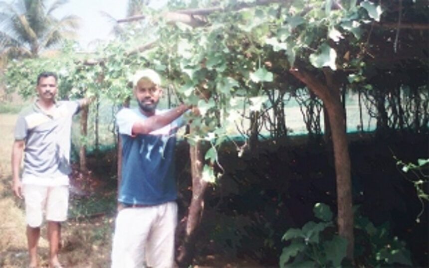 Fragrant blooms & fresh produce: Diversification key to the Satelkars’ success 1 Fragrant blooms & fresh produce: Diversification key to the Satelkars’ success