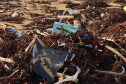 Free Adpai, Durbhat jetties from garbage