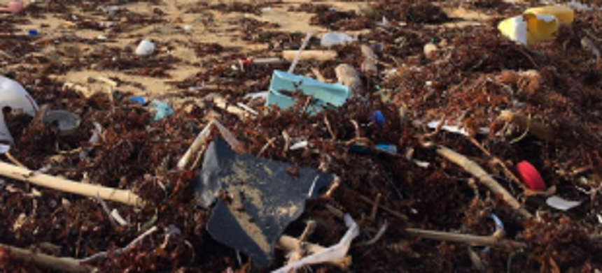 Free Adpai, Durbhat jetties from garbage