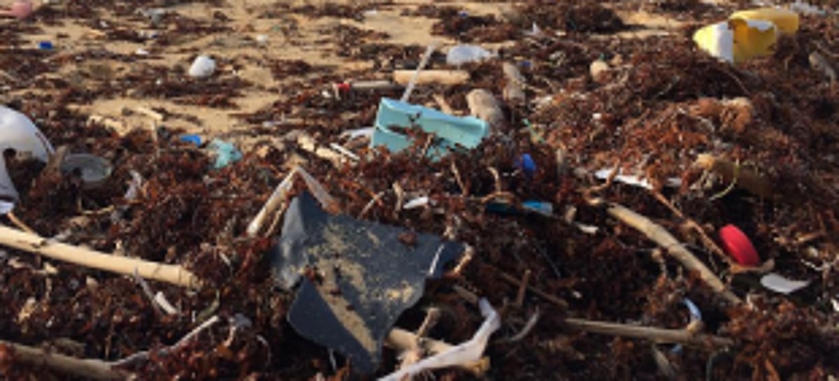 Free Adpai, Durbhat jetties from garbage