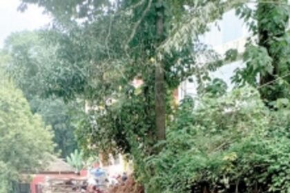 Frequent breakdown of PWD water pipelines