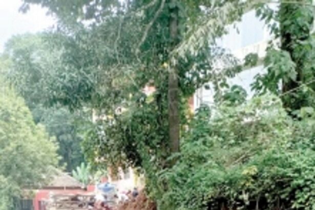 Frequent breakdown of PWD water pipelines