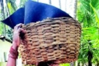 Fresh fish, a sympathetic ear and a heart of gold: Sangolda’s favourite, Carmin Colaco