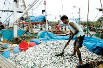 Fresh fish apps get boost post formalin issue in Goa
