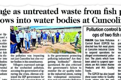Fresh fish, no foul play: Export units in Cuncolim deflect pollution blame to sole fish meal plant