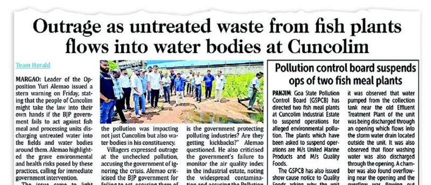 Fresh fish, no foul play: Export units in Cuncolim deflect pollution blame to sole fish meal plant 1 Fresh fish, no foul play: Export units in Cuncolim deflect pollution blame to sole fish meal plant
