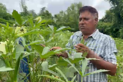 From Barren Land to Bountiful Harvests: John Fernandes of Curchorem Inspires a New Generation of Farmers