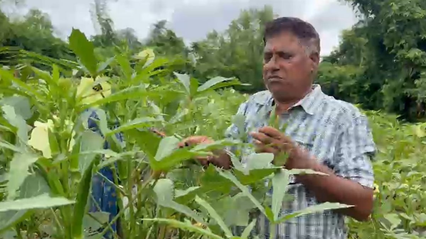 From Barren Land to Bountiful Harvests: John Fernandes of Curchorem Inspires a New Generation of Farmers 1 From Barren Land to Bountiful Harvests: John Fernandes of Curchorem Inspires a New Generation of Farmers