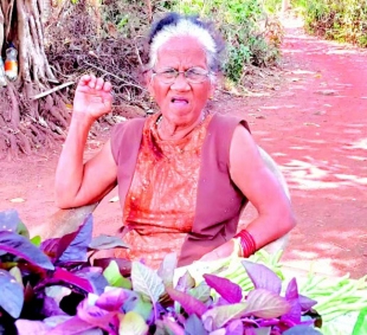 From Rosalina Cardozo’s farm to Pedrina Gomes’ table: This aunt and niece duo support their families selling fresh produce in Raia