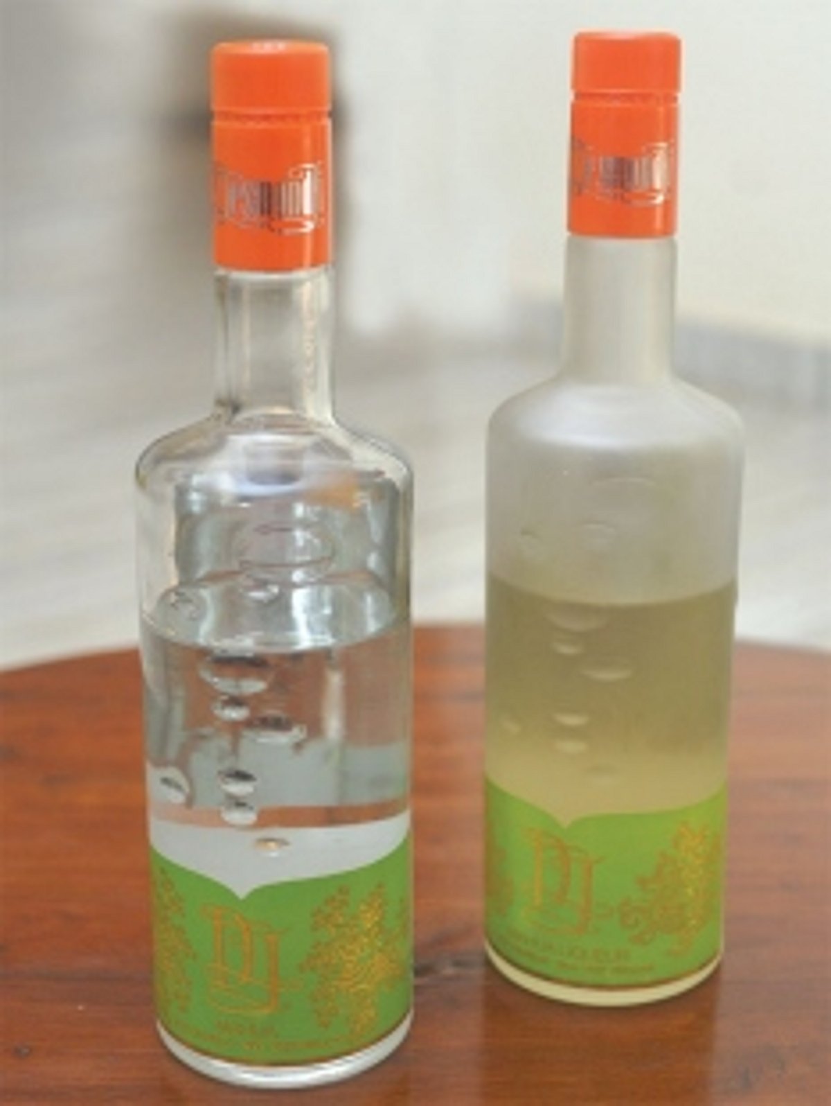 From a sacred adivasi spirit to the star of India