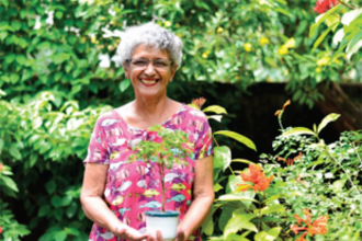 From a seed to a nourishing tree